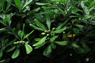 中国PC市场Q3出货超1500万台：联想第一 远超戴尔惠普